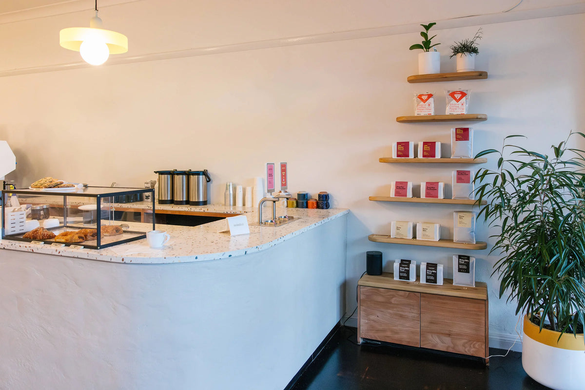 Solstice cafe interior, photographed for The New Paradigm Coffee